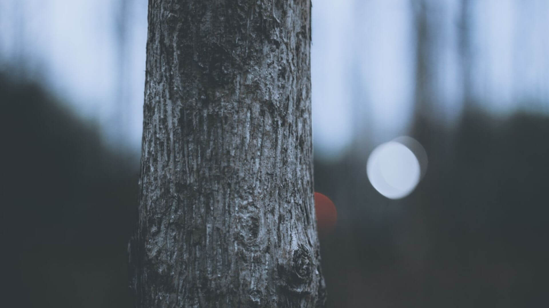 The most prominent law firms without billable hours CloutLegal